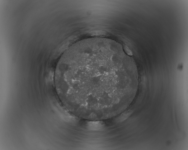 X0000111520281200907281346