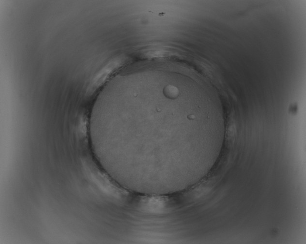 X0000111520282200907281346
