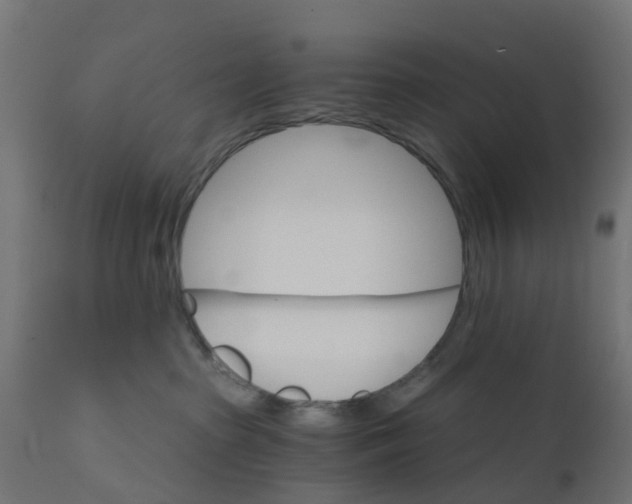 X0000111520285200907281346