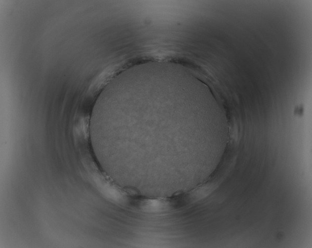 X0000111520286200907281346