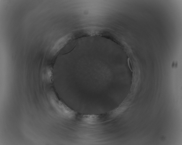 X0000111520288200907281346