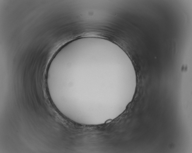 X0000111520289200907281345