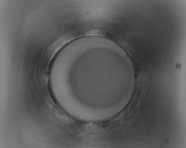X0000111520290200907281345