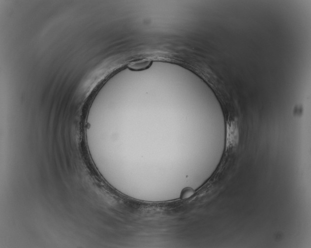 X0000111520291200907281345