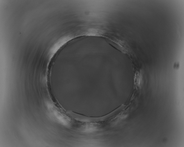 X0000111520292200907281345