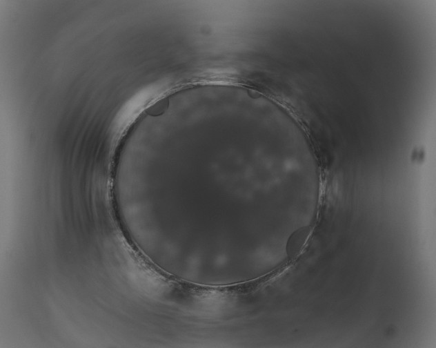 X0000111520293200907281345
