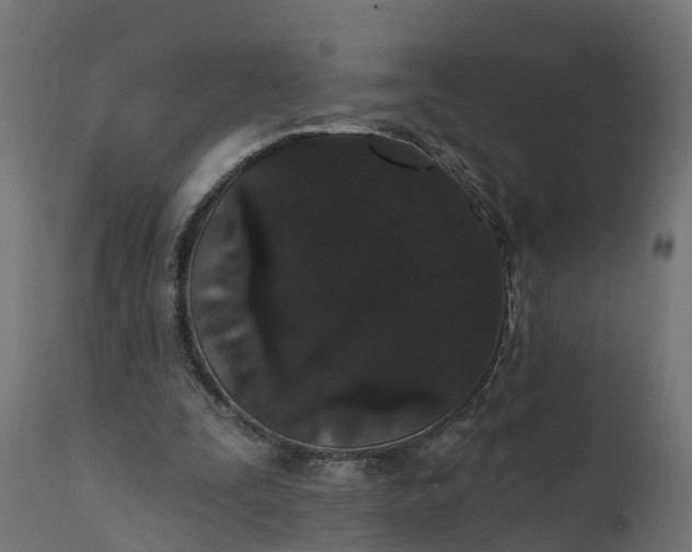 X0000111520295200907281345