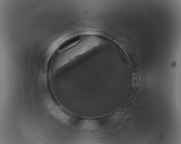 X0000111520296200907281345