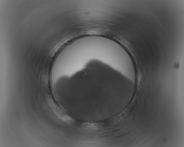 X0000111520297200907281345
