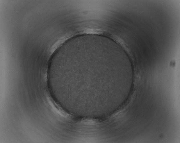 X0000111520299200907281345