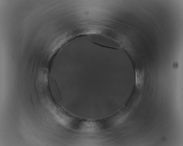 X0000111520300200907281345