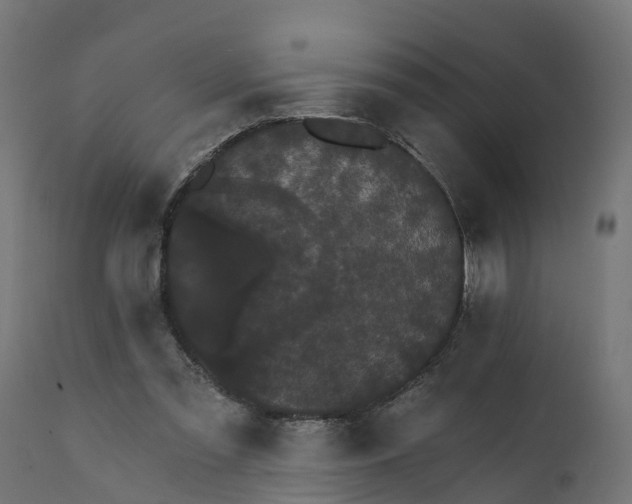 X0000111520301200907281345