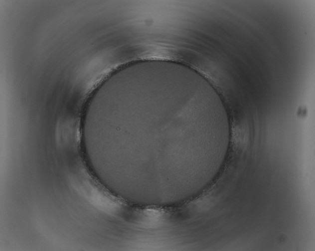 X0000111520302200907281345