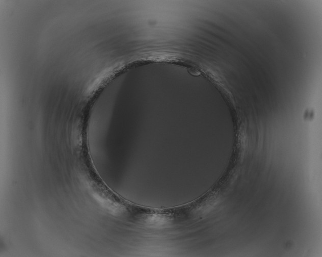 X0000111520303200907281345