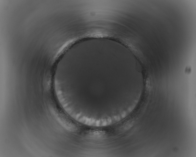 X0000111520304200907281345