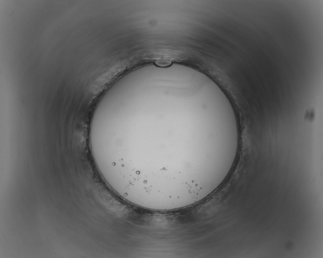 X0000111520305200907281345