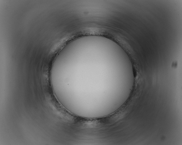 X0000111520306200907281345