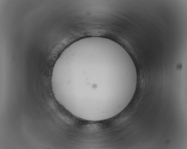 X0000111520307200907281345