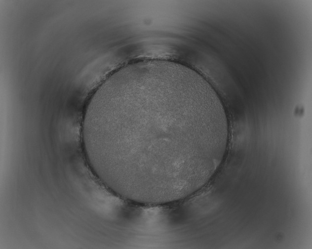 X0000111520309200907281345