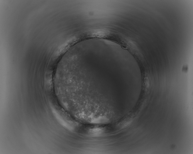 X0000111520312200907281345