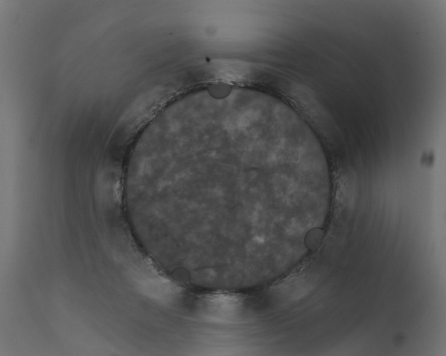 X0000111520313200907281345