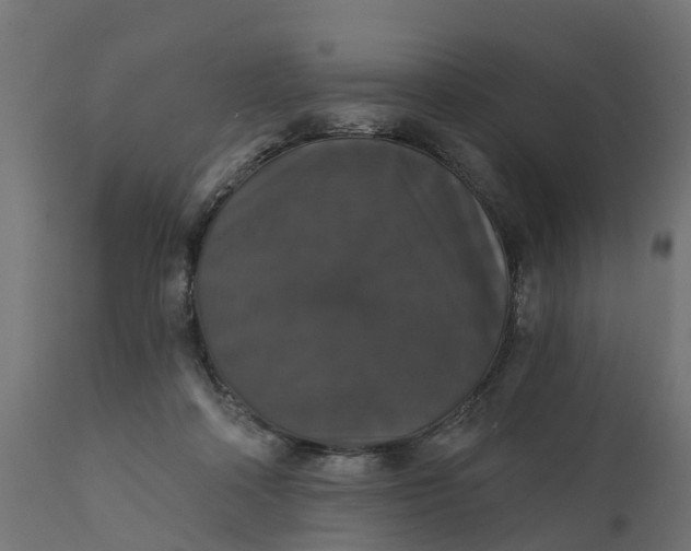 X0000111520314200907281345