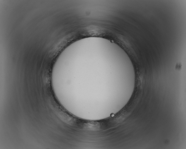 X0000111520317200907281345