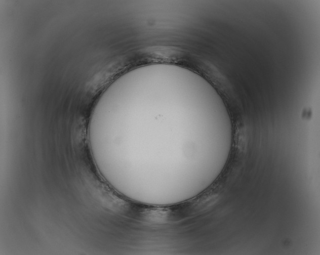 X0000111520318200907281345