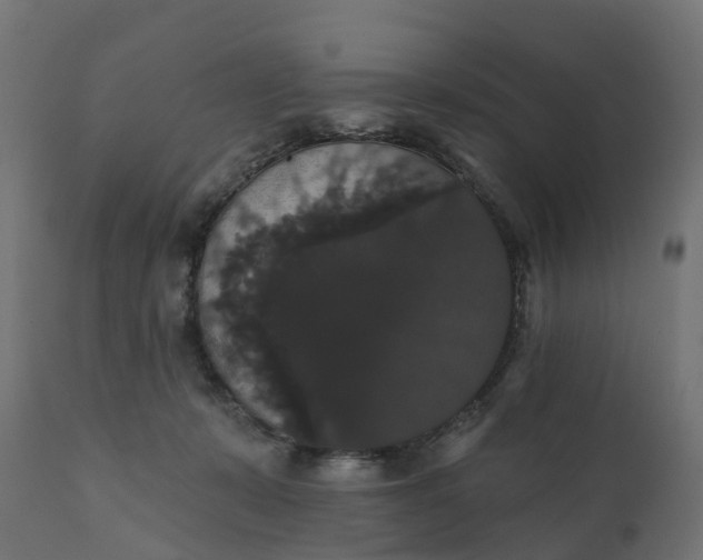 X0000111520319200907281345