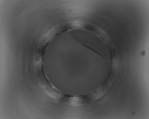 X0000111520320200907281345