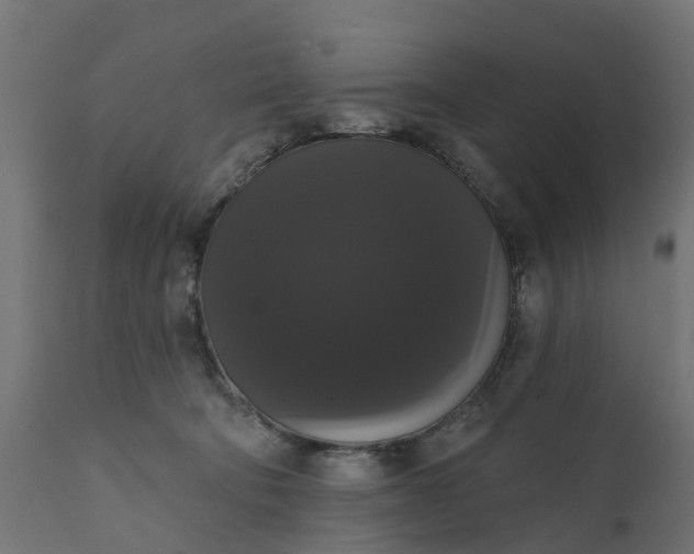 X0000111520322200907281344