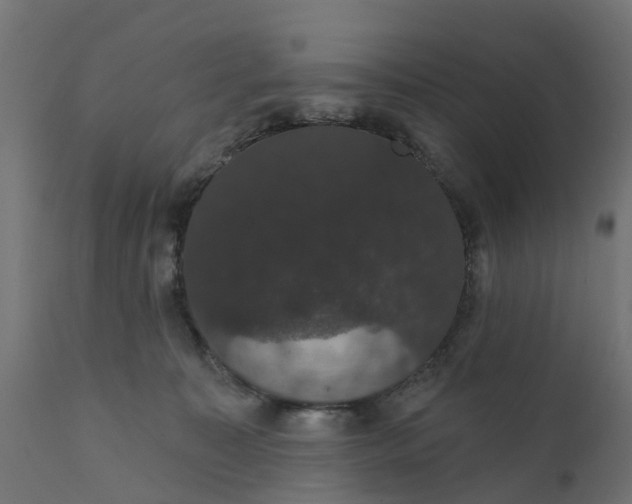 X0000111520323200907281344