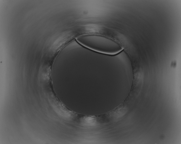 X0000111520325200907281344
