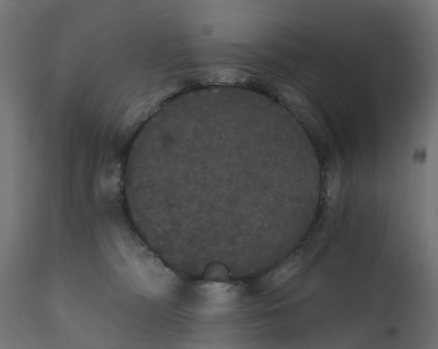 X0000111520326200907281344