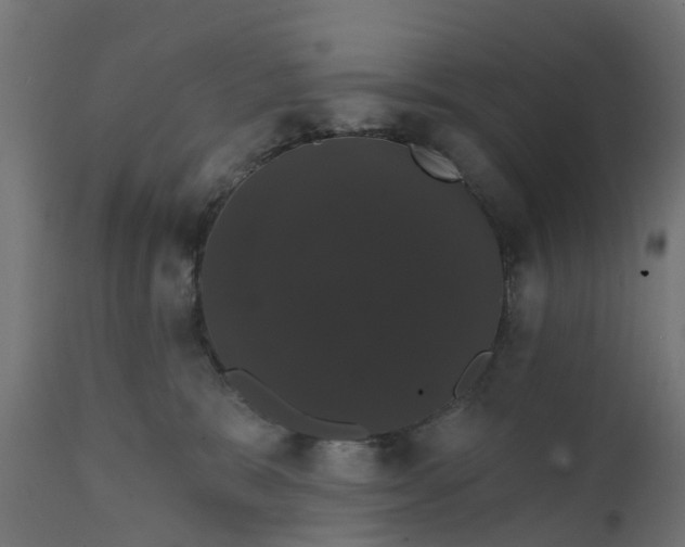 X0000111520327200907281344