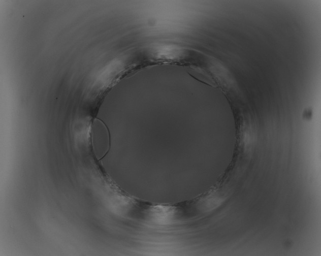 X0000111520328200907281344