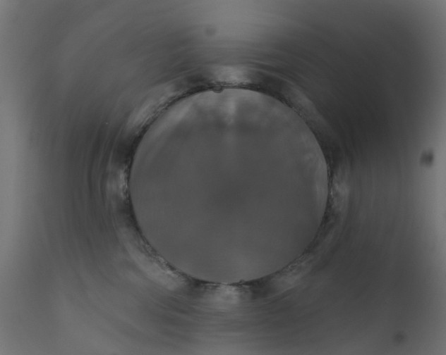 X0000111520330200907281344