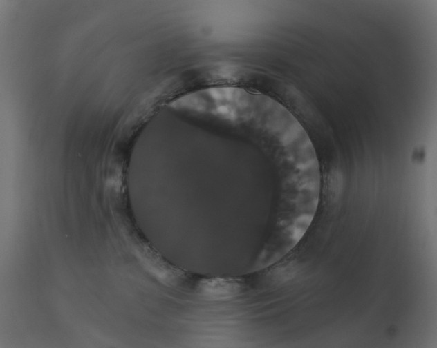 X0000111520331200907281344