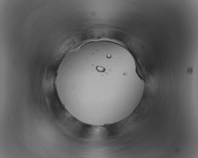 X0000111520333200907281344