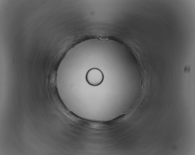 X0000111520336200907281344