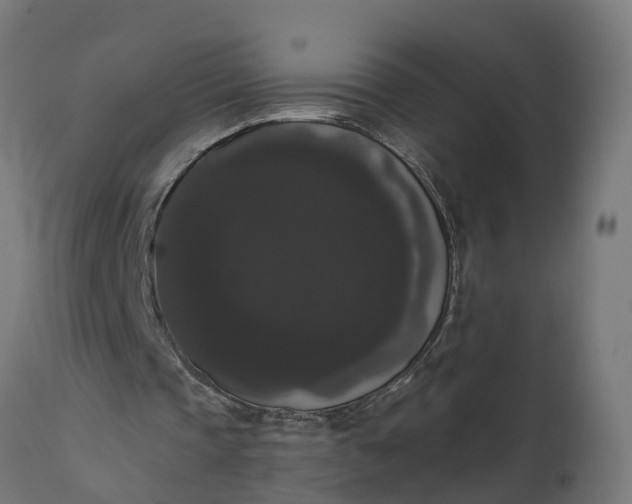 X0000111520337200907281343