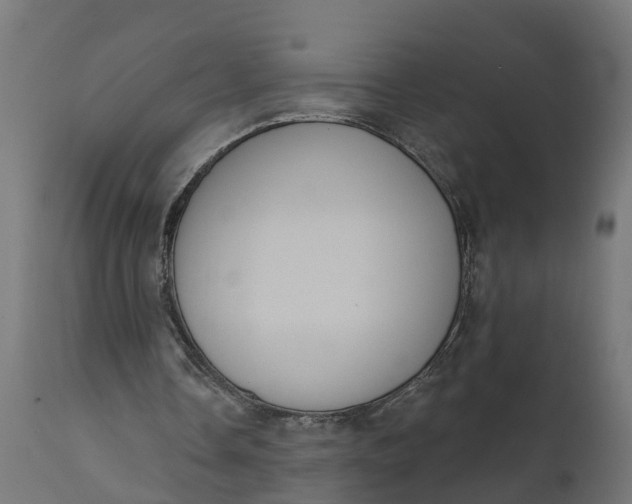 X0000111520338200907281343