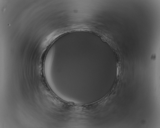 X0000111520339200907281343