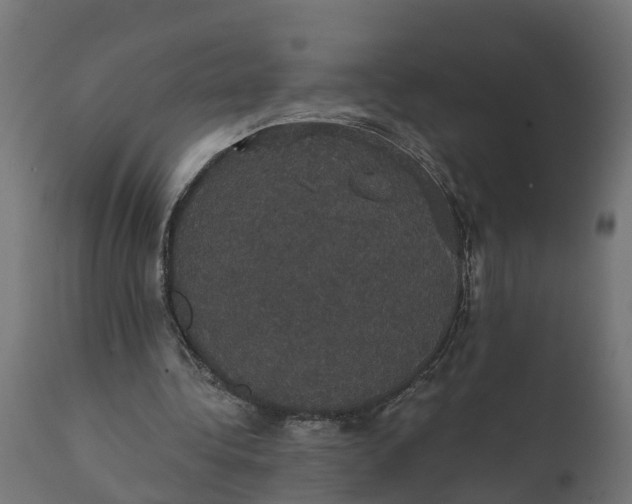 X0000111520340200907281344