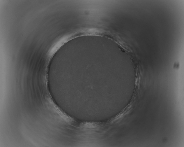 X0000111520341200907281344