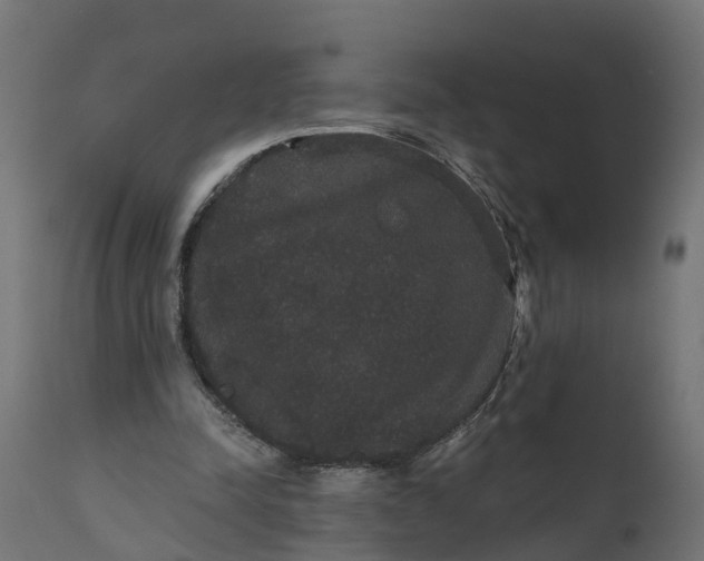 X0000111520342200907281344