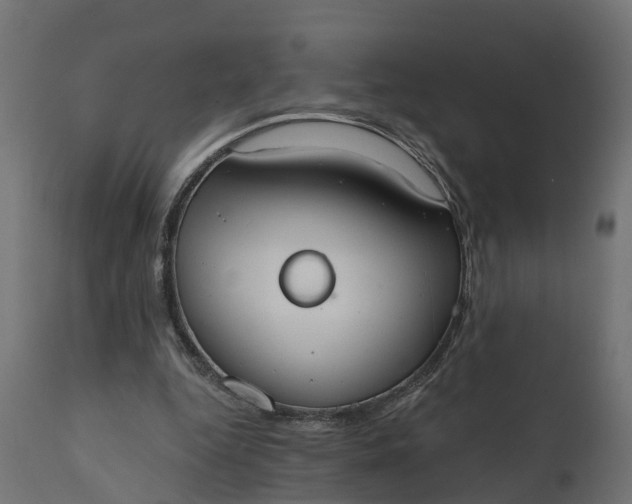 X0000111520344200907281344