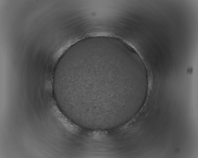 X0000111520345200907281344
