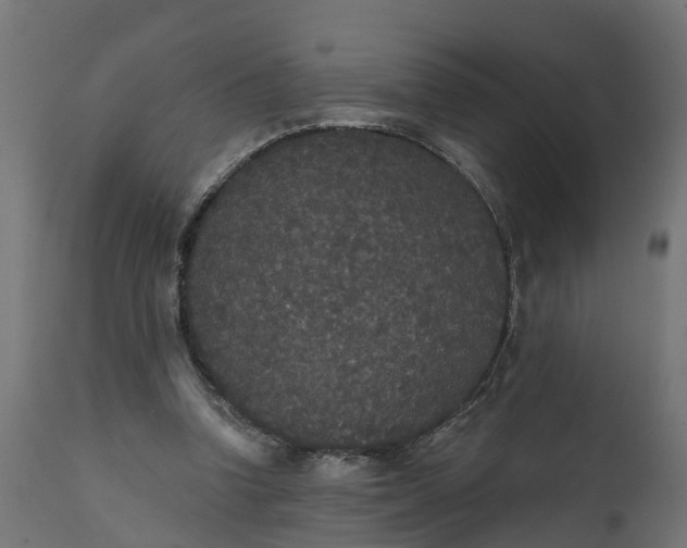 X0000111520346200907281344