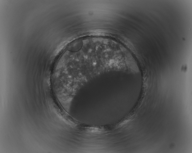 X0000111520347200907281344